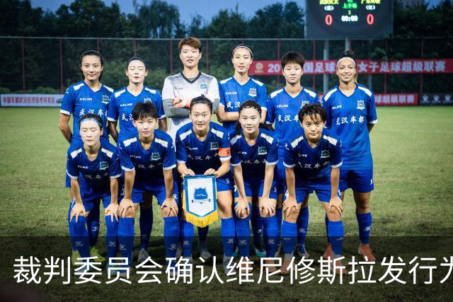 裁判委员会确认维尼修斯拉发行为属暴力行为，红牌判罚无争议